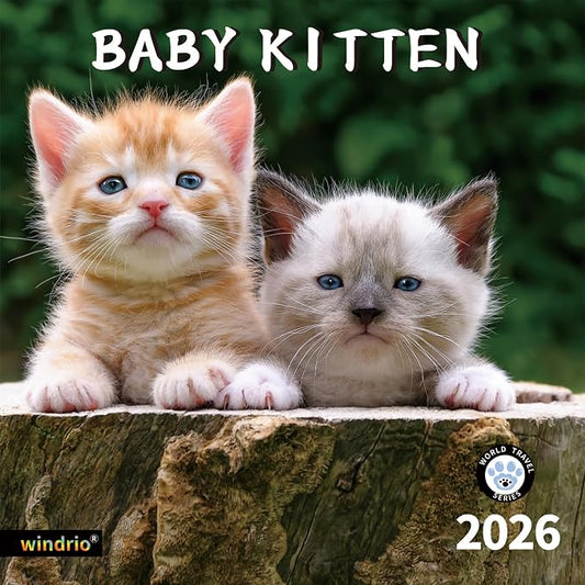 2026 Wall Calendar,Calendar 2026, November 2025 - December 2026, Wall Calendar Cat Kitten, 12" X 24" Opened,Full Page Months Thick & Sturdy Paper for Calendar Organizing & Planning
