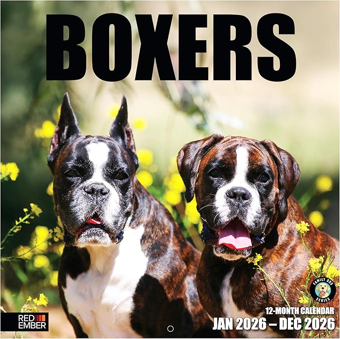 RED EMBER Boxers 2026 Wall Calendar 12 Month | 12" x 24" Open | Thick & Sturdy Paper | Giftable | Cute Puppy Dog Calendar 2026