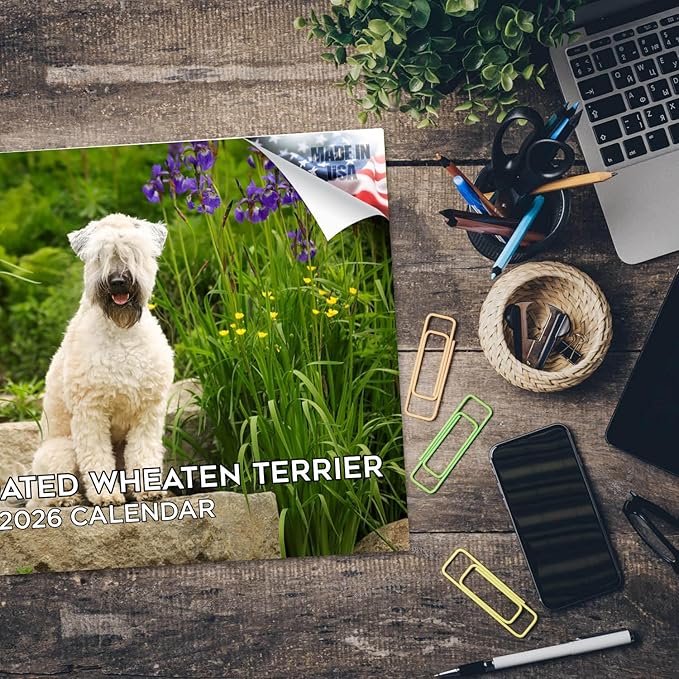 2025 2026 Softcoat Wheaten Terrier Calendar - Dog Breed Monthly Wall Calendar - 12" x 18" Open - Thick No-Bleed Paper - Giftable - Academic Teacher's Planner Calendar Organizing & Planning - Made in USA