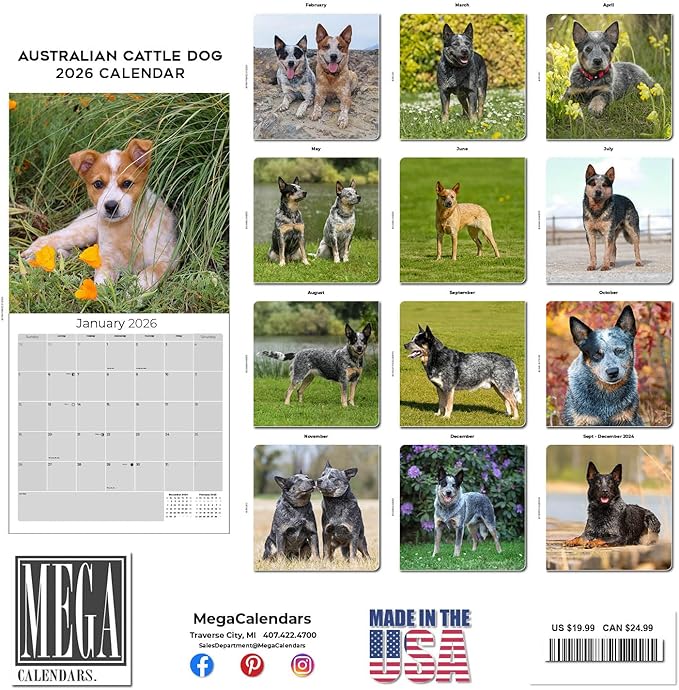Australian Cattle Dog Calendar 2026 – 16-Month Dog Breed Wall Calendar by MegaCalendars – Large Daily Blocks, Thick No-Bleed Paper, Made in USA
