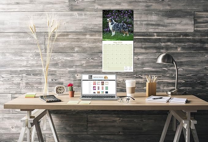 Australian Shepherd Calendar 2026 – 16-Month Dog Breed Wall Calendar by MegaCalendars – Large Daily Blocks, Thick No-Bleed Paper, Made in USA
