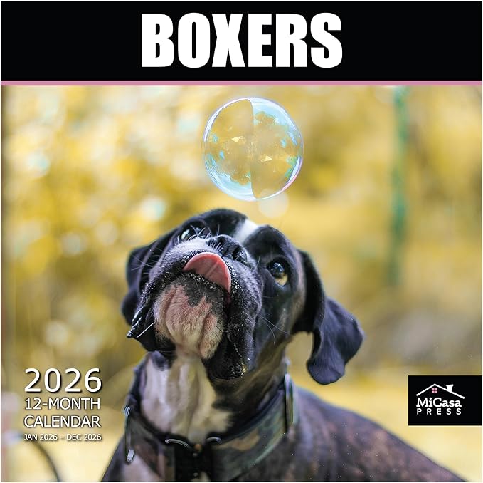 MICASA PRESS Boxers 2026 Wall Calendar 12 Month | 12" x 24" Open | Thick & Sturdy Paper | Giftable | Cute Puppy Dog Calendar 2026