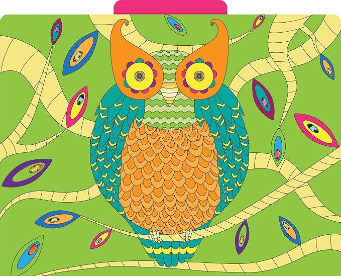 Barker Creek Bohemian Animals File Folders Now on Durable 14pt Stock, 12/PK, Letter Size, 1/3 Cut Tabs, Reversible, Home, School and Office Supplies (2012)