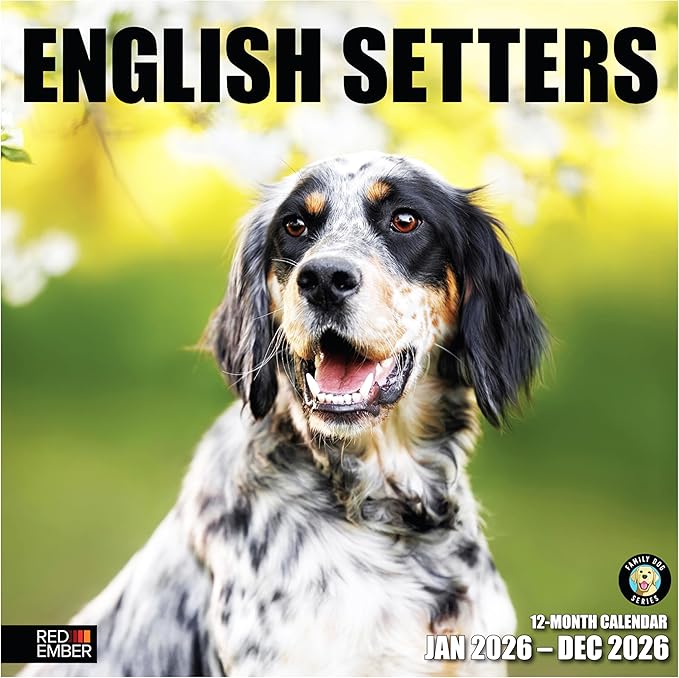 RED EMBER English Setters 2026 Wall Calendar 12 Month | 12" x 24" Open | Thick & Sturdy Paper |Giftable | Cute Puppy Dog Calendar 2026