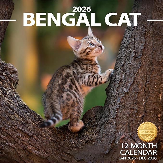 Wall Calendar 2026 Planner Calendar - Bengal Cat Hangable Monthly Wall Calendar with Large Blocks for Organizing & Planning, Academic Schedule, Home, Office & family, Thick & Sturdy Paper (12"x24" Open)