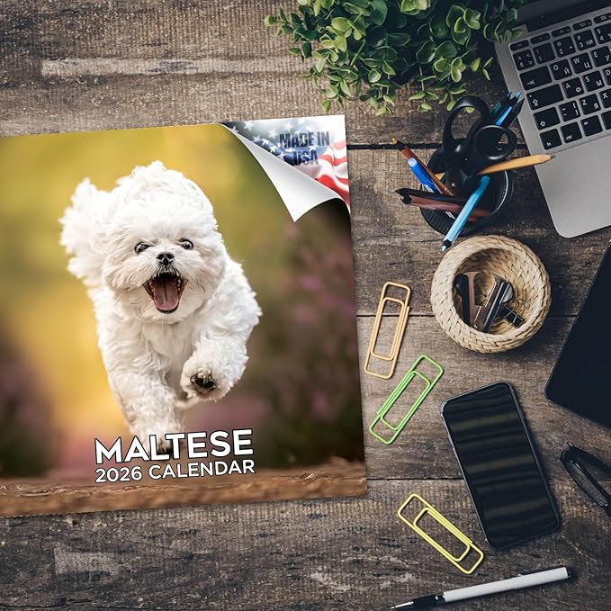 Maltese Calendar 2026 by MegaCalendars – Monthly Dog Breed Wall Calendar, Made in USA