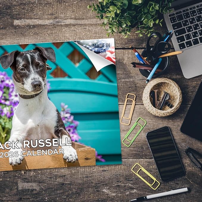 2025 2026 Jack Russell Calendar - Dog Breed Monthly Wall Calendar - 12" x 18" Open - Thick No-Bleed Paper - Giftable - Academic Teacher's Planner Calendar Organizing & Planning - Made in USA