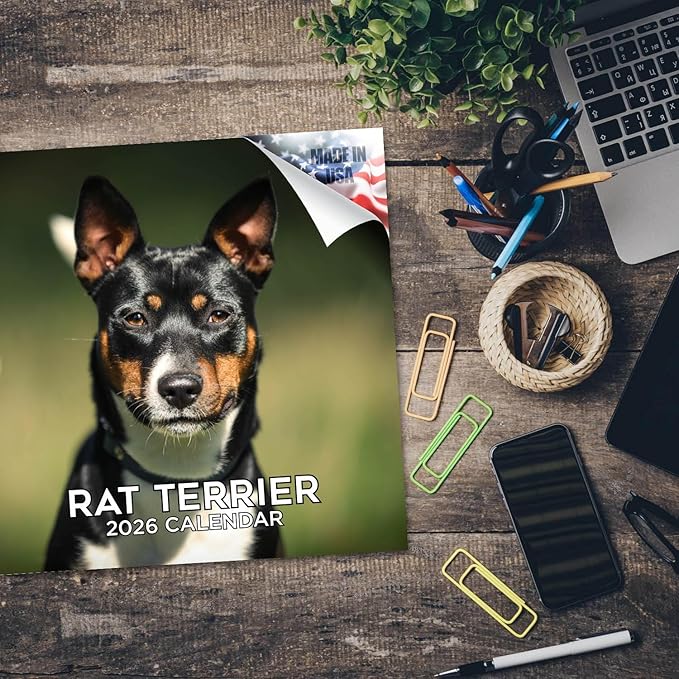 Rat Terrier Calendar 2026 by MegaCalendars – Monthly Dog Breed Wall Calendar, Made in USA