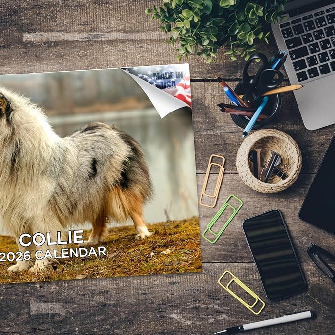 2025 2026 Collie Calendar - Dog Breed Monthly Wall Calendar - 12" x 18" Open - Thick No-Bleed Paper - Giftable - Academic Teacher's Planner Calendar Organizing & Planning - Made in USA