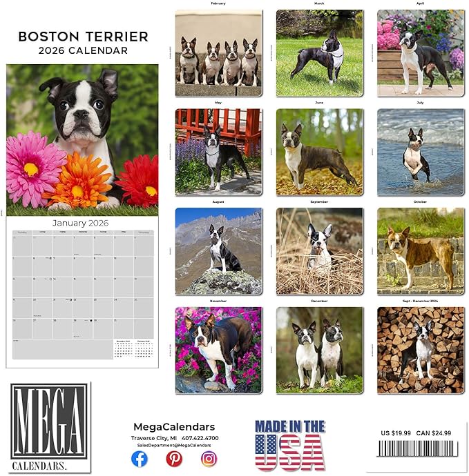 2025 2026 Boston Terrier Calendar - Dog Breed Monthly Wall Calendar - 12" x 24" Open - Thick No-Bleed Paper - Giftable - Academic Teacher's Planner Calendar Organizing & Planning - Made in USA