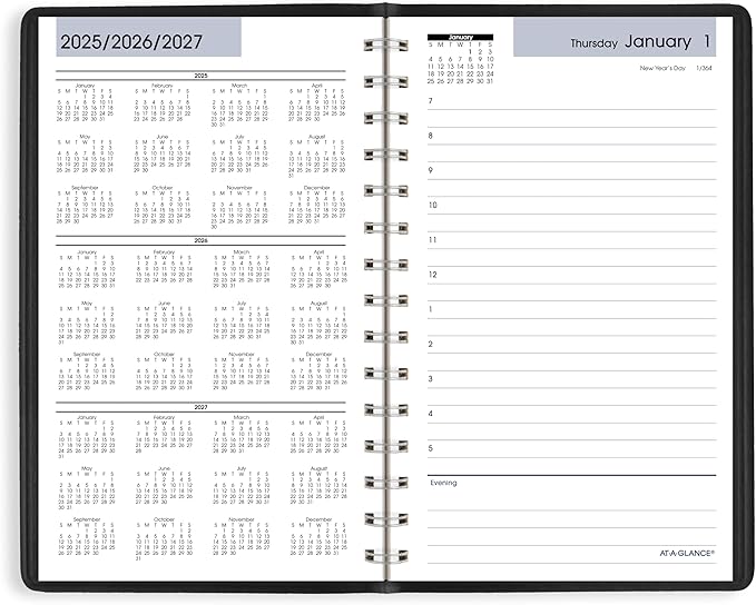 AT-A-GLANCE 2026 Appointment Book Planner, Daily, 5" x 8", Small, Hourly, DayMinder, Black (SK440026)