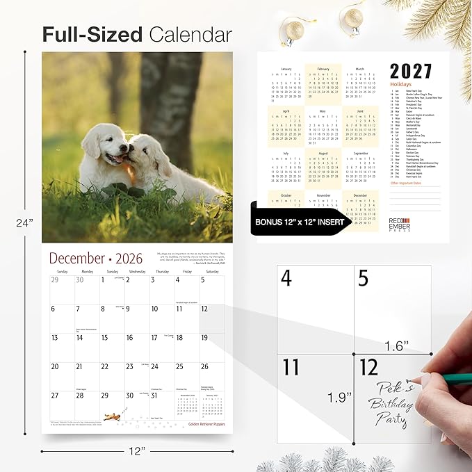 RED EMBER Select - Golden Retriever Puppies 2026 Wall Calendar 12 Month | 12" x 24" Open | Thick & Sturdy Paper | Giftable | Cute Puppy Dog Calendar 2026