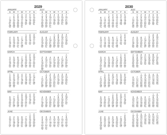 AT-A-GLANCE 2026 Desk Calendar Refill, Daily, 4-1/2" x 7-1/2", Large, Loose-Leaf, Burkhart's Day Counter (E7125026)