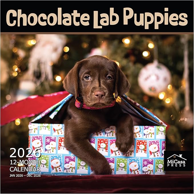 MICASA PRESS Chocolate Lab Puppies 2026 Wall Calendar 12 Month | 12" x 24" Open | Thick & Sturdy Paper | Giftable | Cute Labrador Retriever Puppy Dog Calendar 2026
