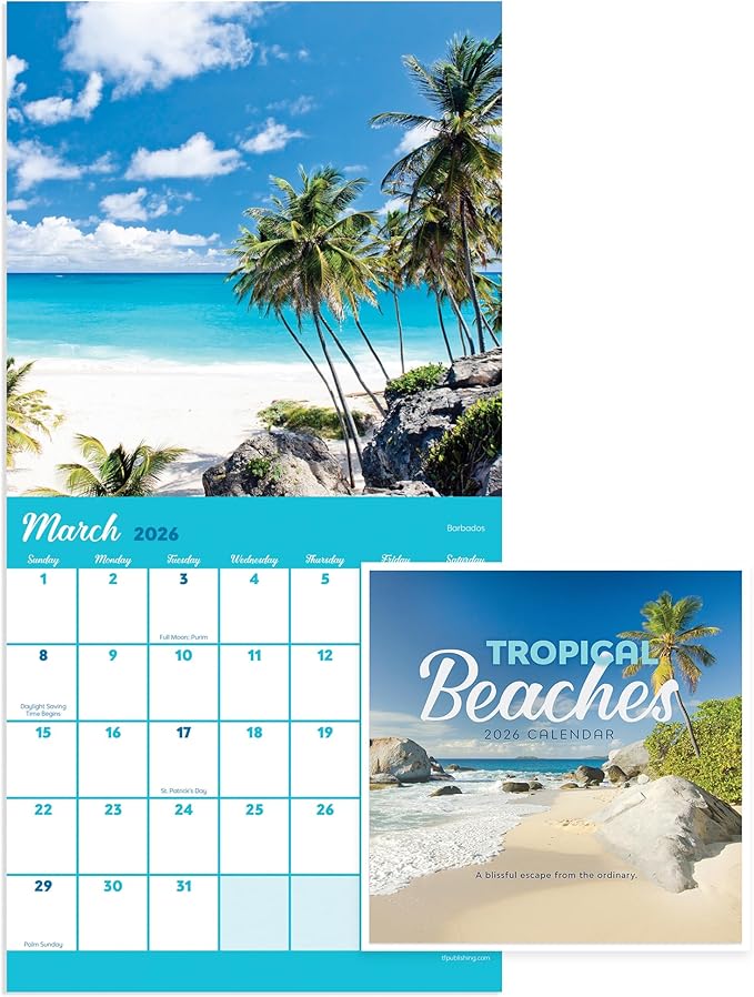 TF Publishing 2026 Tropical Beaches Mini Calendar with Monthly Grids for Appointments and Scheduling - Vertical Small Wall Calendar 2026 w/Premium Gloss Paper for Home and Office Organization - 7x7in