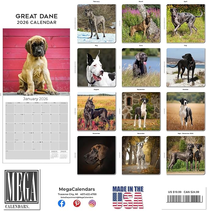 Great Dane Calendar 2026 – 16-Month Dog Breed Wall Calendar by MegaCalendars – Large Daily Blocks, Thick No-Bleed Paper, Made in USA