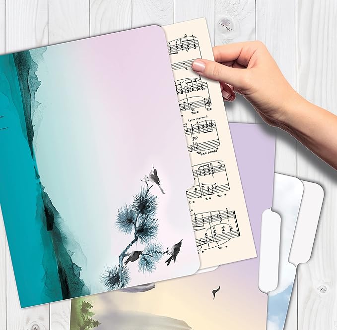 Better Office Products Decorative File Folders, 12 Pack, 6 Unique Designs, Heavyweight, Letter Size (9.5 x 11.5) with 1/3 Cut Tab, Japanese Watercolor Designs, Fashion Folders