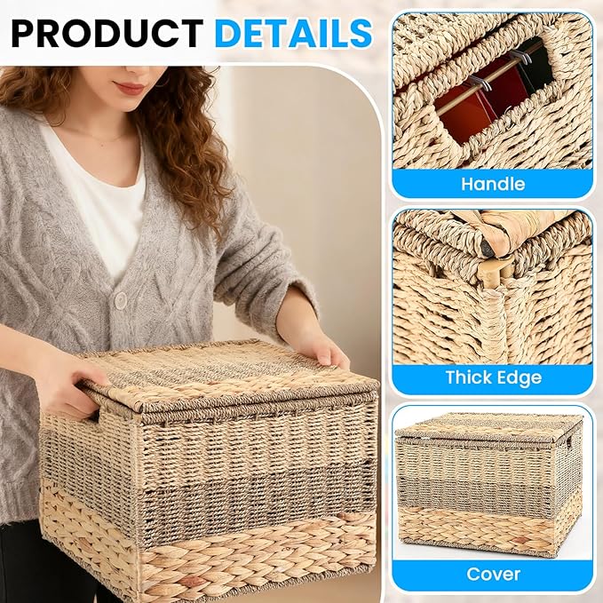 Decorative File Box 14 x 12 x 11 in Wicker Seagrass File Basket Organizer for Letter Size Hand Woven Hanging Filing Cabinet with Lid for Document Folder Home Office Decor, Water Hyacinth, Tricolor