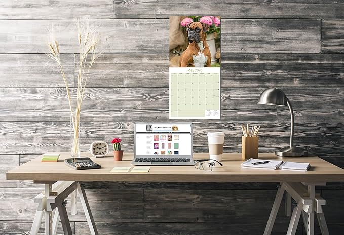 Boxer Calendar 2026 by MegaCalendars – Monthly Dog Breed Wall Calendar, Made in USA