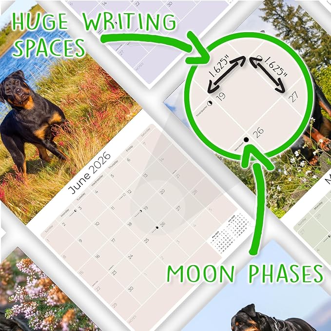 Rottweiler Calendar 2026 by MegaCalendars – Monthly Dog Breed Wall Calendar, Made in USA