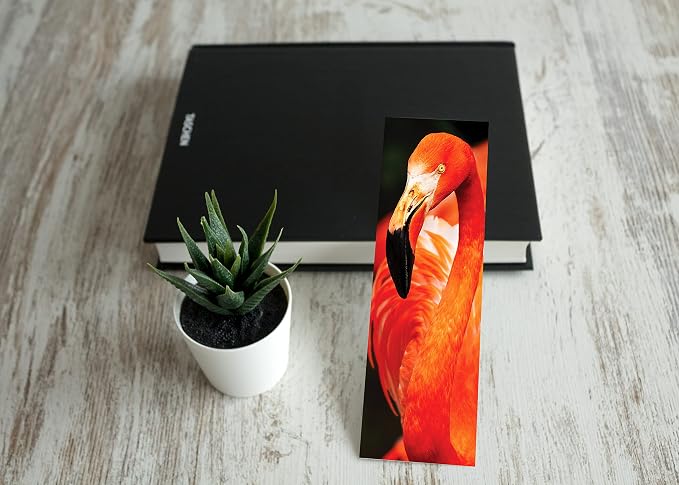 JBH Creations Around The World Animal Bookmarks - Pack of 48