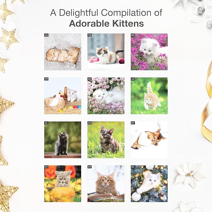 RED EMBER Cuddly Kittens 2026 Wall Calendar 12 Month | 12" x 24" Open | Thick & Sturdy Paper | Giftable | Cute Kitten Cat Calendar 2026