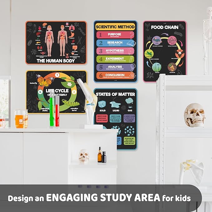 jackinthebox 12 Science Posters for Classroom - 12 x 17 inches Laminated, Middle School Science Posters, Posters for High School, Science Classroom Decor, Science Bulletin Board Sets for Kids.