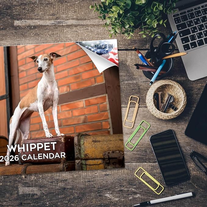 2025 2026 Whippet Calendar - Dog Breed Monthly Wall Calendar - 12" x 18" Open - Thick No-Bleed Paper - Giftable - Academic Teacher's Planner Calendar Organizing & Planning - Made in USA