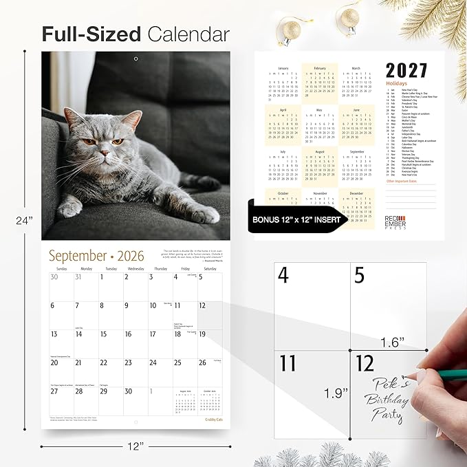 RED EMBER Crabby Cats 2026 Wall Calendar 12 Month | 12" x 24" Open | Thick & Sturdy Paper | Giftable | Funny Kitten Cat Calendar 2026