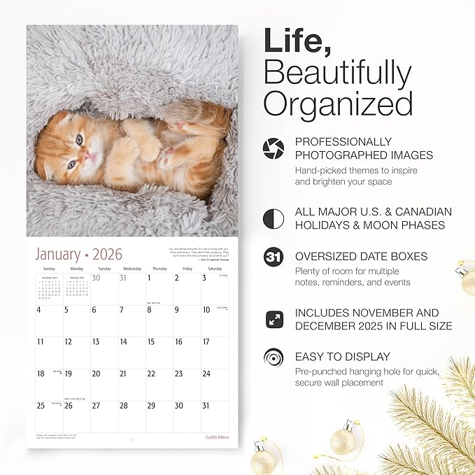 RED EMBER Cuddly Kittens 2026 Wall Calendar 12 Month | 12" x 24" Open | Thick & Sturdy Paper | Giftable | Cute Kitten Cat Calendar 2026