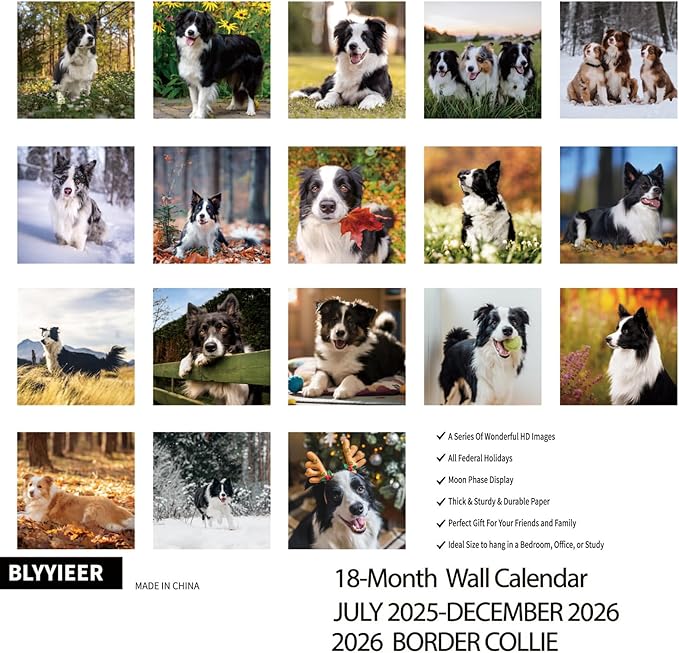 2025-2026 Wall Calendar,Border Collie Wall Calendar, 12" x 24" Open,Family Planner Calendar Organizer withBorder Collie Images, for Dogs Lovers