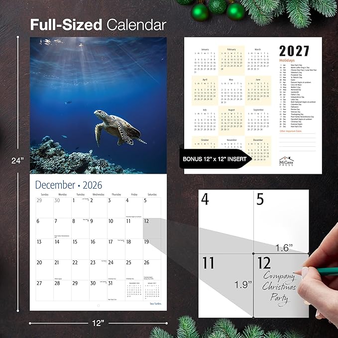 MICASA PRESS Sea Turtles 2026 Wall Calendar 12 Month | 12" x 24" Open | Thick & Sturdy Paper | Giftable | Animal Calendar 2026