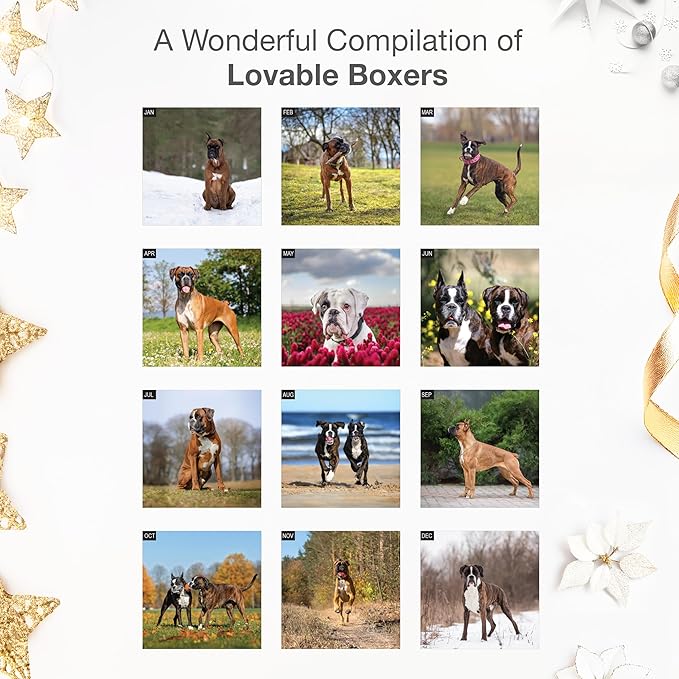 RED EMBER Boxers 2026 Wall Calendar 12 Month | 12" x 24" Open | Thick & Sturdy Paper | Giftable | Cute Puppy Dog Calendar 2026