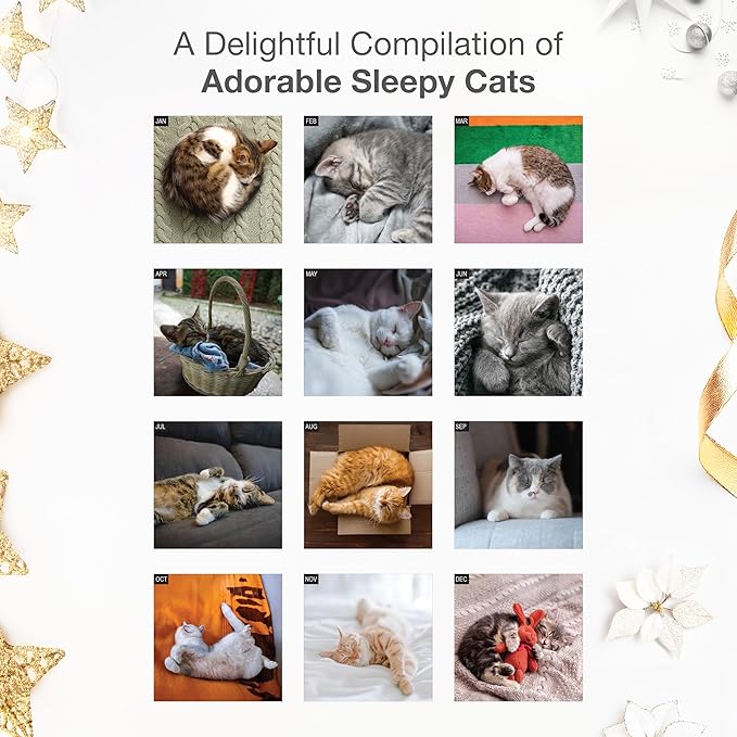 RED EMBER Select - Cat Naps 2026 Wall Calendar 12 Month | 12" x 24" Open | Thick & Sturdy Paper | Giftable | Cute Funny Kitten Cat Calendar 2026
