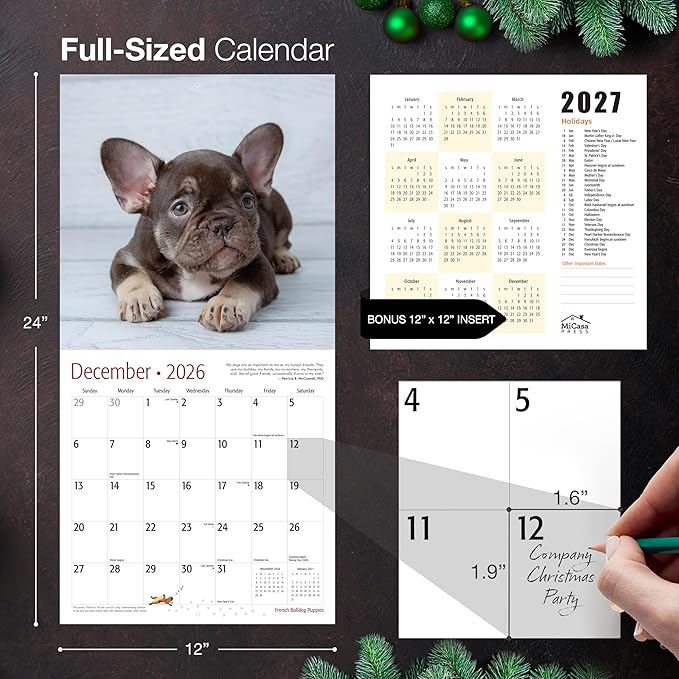 MICASA PRESS French Bulldog Puppies 2026 Wall Calendar 12 Month | 12" x 24" Open | Thick & Sturdy Paper | Giftable | Cute Frenchie Puppy Dog Calendar 2026