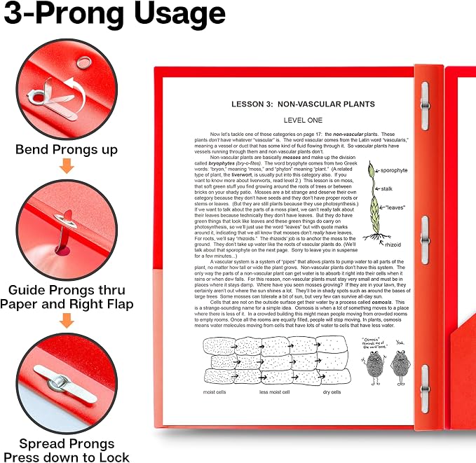 Dunwell Plastic Folders with 3 Prongs, (12 Pack, Red), 2-Pocket Folders with Fasteners, Durable Acid-Free Poly for Long Term Use, Labels Included