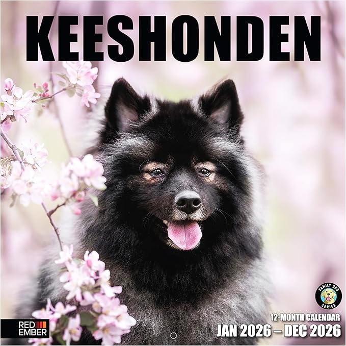 RED EMBER Keeshonden 2026 Wall Calendar 12 Month | 12" x 24" Open | Thick & Sturdy Paper | Giftable | Cute Puppy Dog Calendar 2026