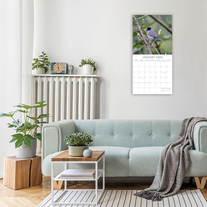 The Gifted Stationery 16 Month Square Wall Calendar - 2026 Wall Planner with 180 Planner Stickers - Hanging Calendar for Home & Office - Sept 2025-Dec 2026, 12 x 12 in
