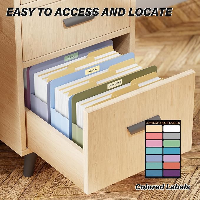Ansook Expanding File Pockets 3.5" Expansion,6 Pack Extra Capacity Poly File Pockets,Heavy Duty Letter Size File Pockets for Cabinet with Straight-Cut Tab,Holds 8.5" x 11" documents & Manila Folder