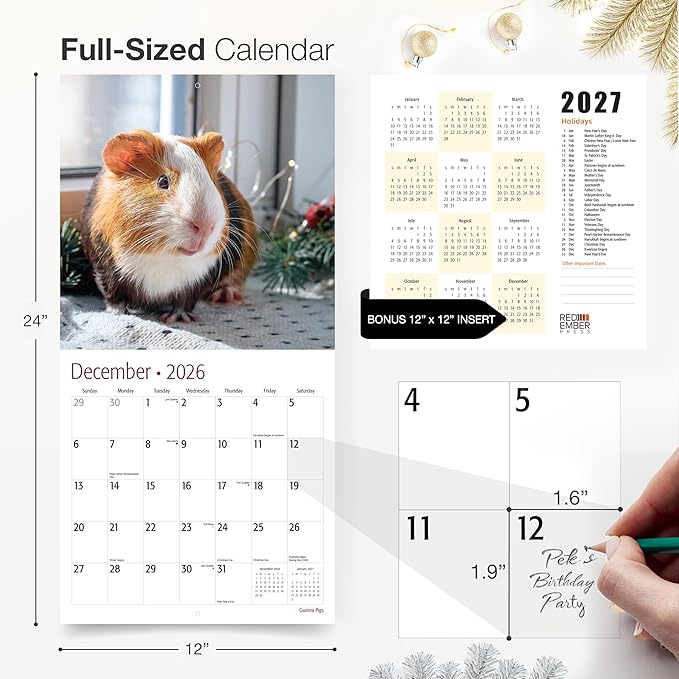 RED EMBER Select - Guinea Pigs 2026 Wall Calendar 12 Month | 12” x 24” Open | Thick & Sturdy Paper | Giftable | Cute Funny Animal Kids Calendar 2026