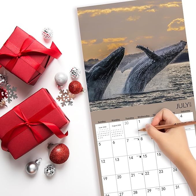 2026 Wall Calendar,Whale Calendar 2026 Monthly Wall Calendar, 12" x 24" Open,Family Planner Calendar Organizer with Whale Images