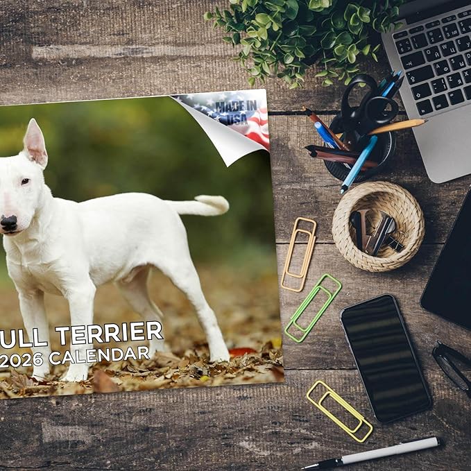 2025 2026 Bull Terrier Calendar - Dog Breed Monthly Wall Calendar - 12" x 18" Open - Thick No-Bleed Paper - Giftable - Academic Teacher's Planner Calendar Organizing & Planning - Made in USA