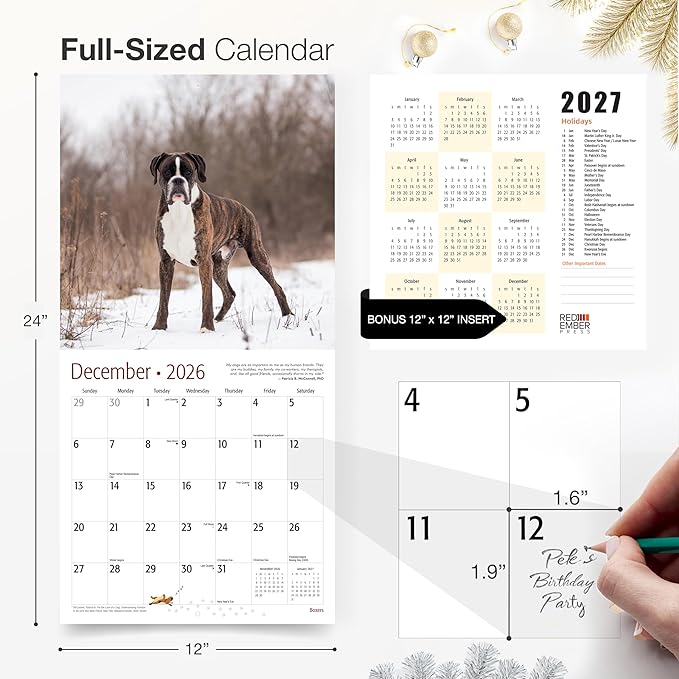RED EMBER Boxers 2026 Wall Calendar 12 Month | 12" x 24" Open | Thick & Sturdy Paper | Giftable | Cute Puppy Dog Calendar 2026