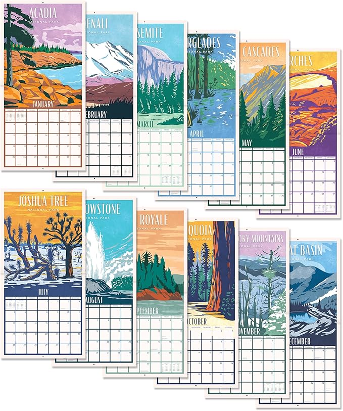 Orange Circle Studio Wall Calendar 2025-26, National Parks, Large Monthly Planner, Hanging Organizer, Cute for Home Office, Classroom, School, Family Calendar, Easy Planning and Organizing, 12” x 12”