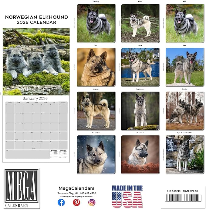Norwegian Elkhound Calendar 2026 by MegaCalendars – Monthly Dog Breed Wall Calendar, Made in USA