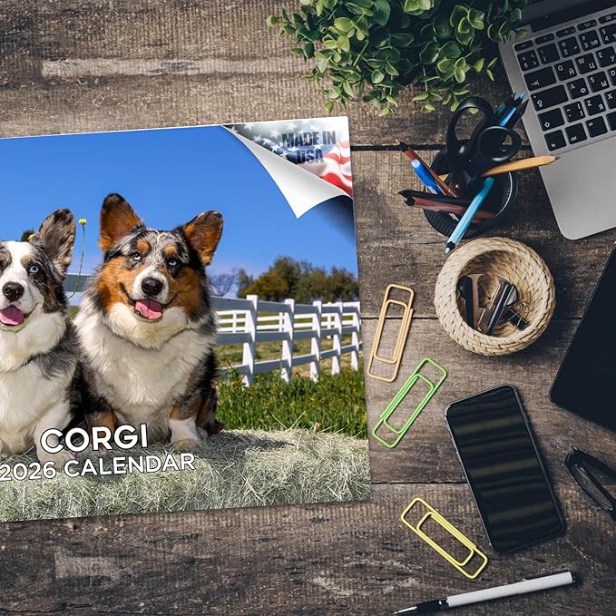 2025 2026 Corgi Calendar - Dog Breed Monthly Wall Calendar - 12" x 18" Open - Thick No-Bleed Paper - Giftable - Academic Teacher's Planner Calendar Organizing & Planning - Made in USA