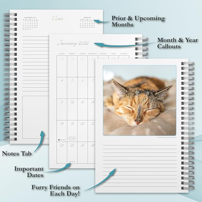 Cat Naps 2026 Weekly & Monthly Planner, 12-Month Engagement Calendar: 2026