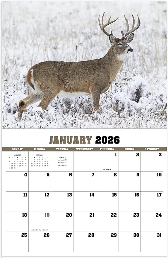 Trophy Whitetail Deer 2026 Hanging Wall Calendar - 19" x 11" (Open) 2026 Monthly Appointment Planner and Organizer. Trophy Whitetail Bucks for every hunter to look at!