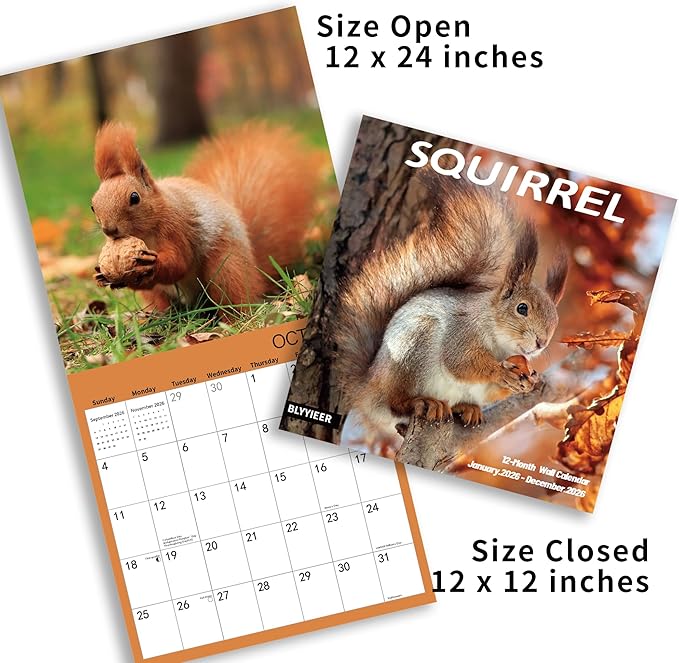 2026 Wall Calendar,Squirrel Calendar 2026,Squirrel Monthly Wall Calendar, 12" x 24" Open,Family Planner Calendar, Home & Office Organizer,Hangable