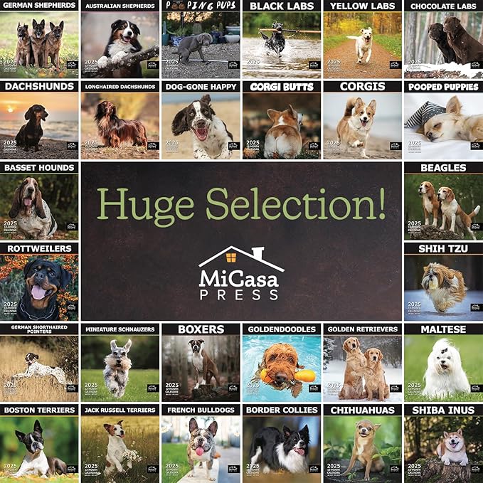 MICASA PRESS - Australian Shepherds 2025 Wall Calendar 12 Month | 12" x 24" Open | Thick & Sturdy Paper | Giftable | Calendar 2025